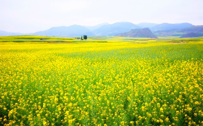 Trắc nghiệm tính cách