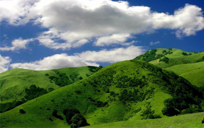 Trắc nghiệm tính cách