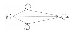 Giải bài tập SBT Sinh Học 8 bài 15 