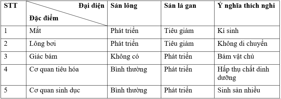 Giải bài tập VBT Sinh học 7 bài 11