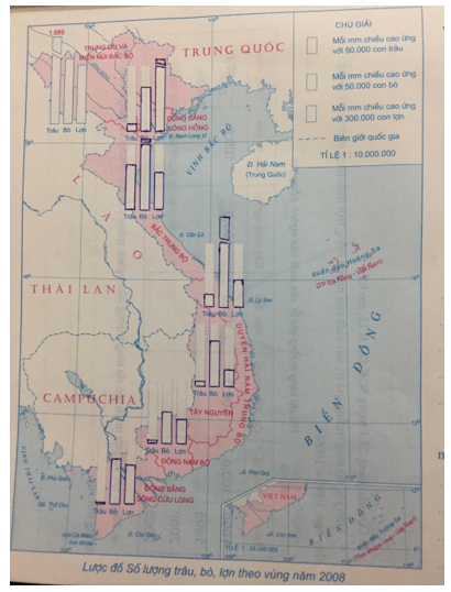 Giải Tập bản đồ Địa lí 12 bài 22