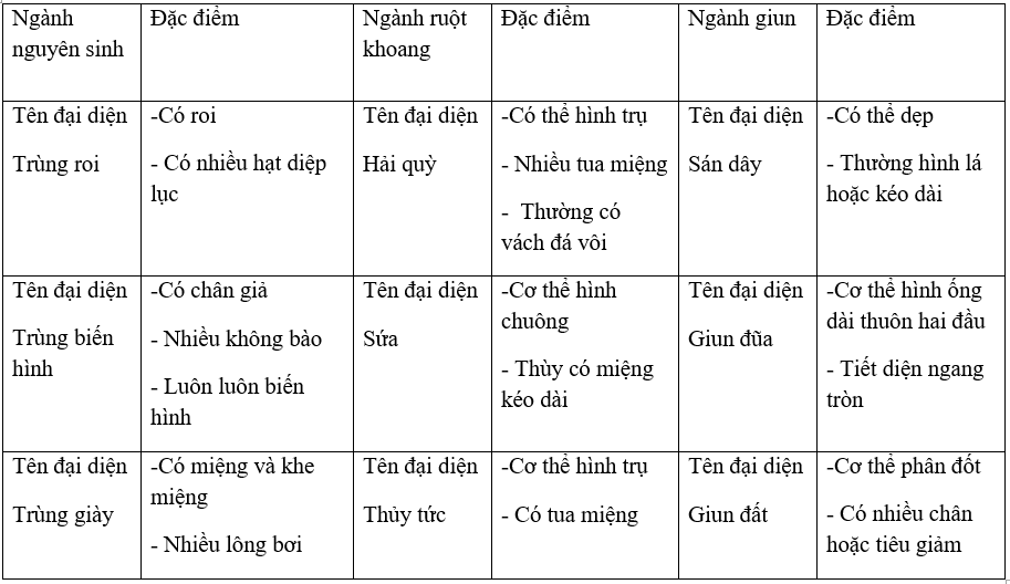 Giải bài tập VBT Sinh học 7 bài 30