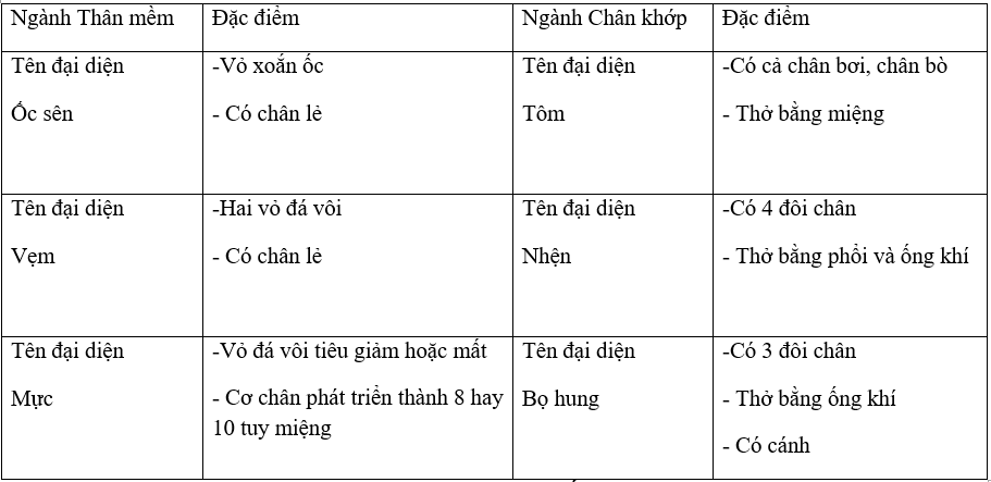 Giải bài tập VBT Sinh học 7 bài 30