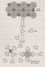 Giải bài tập SBT Sinh học 10 trang 18