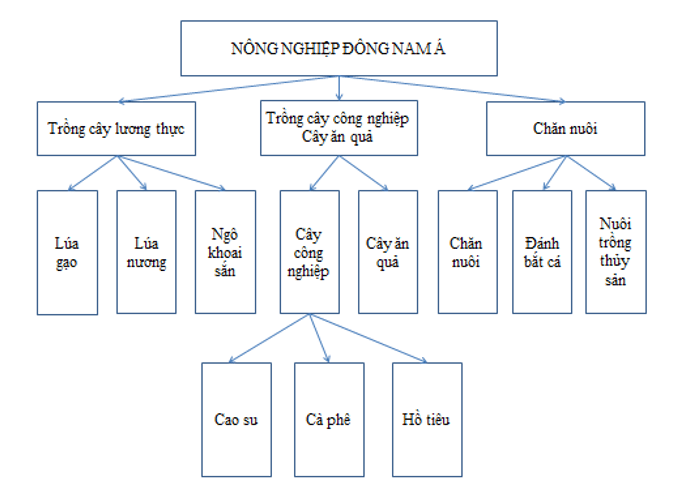 Giải Tập bản đồ Địa lí 11 bài 11 tiết 2