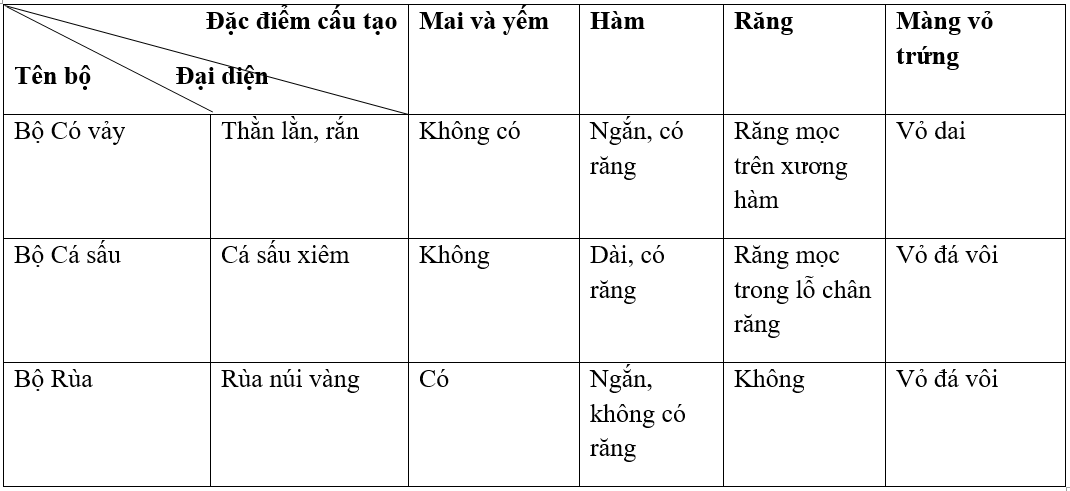 Giải bài tập VBT Sinh học 7 bài 40