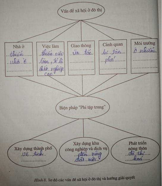Giải vở bài tập Địa Lý 7 bài 16: Đô thị hóa ở đới ôn hòa