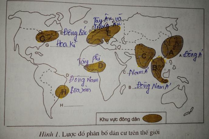 Giải vở bài tập Địa Lý 7 bài 2: Sự phân bố dân cư. Các chủng tộc trên thế giới