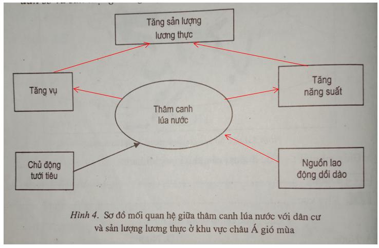 Giải vở bài tập Địa Lý 7 bài 8: Các hình thức canh tác trong nông nghiệp ở đới nóng