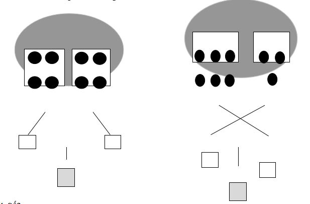 Bài tập cuối tuần lớp 1 - Tuần 5
