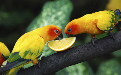 từ vựng tiếng anh