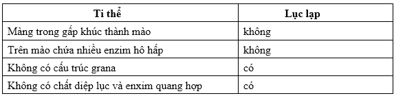 Giải bài tập SBT Sinh học 10 trang 131