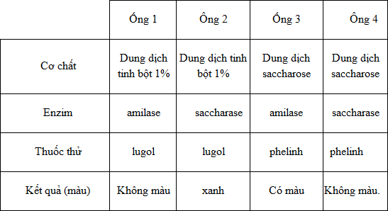 Giải bài tập SBT Sinh học 10 trang 146