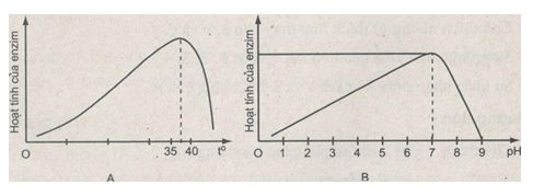 Giải bài tập SBT Sinh học 10 trang 50