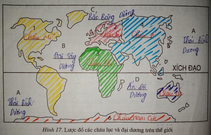 Giải vở bài tập Địa Lý 7 bài 25: Thế giới rộng lớn và đa dạng