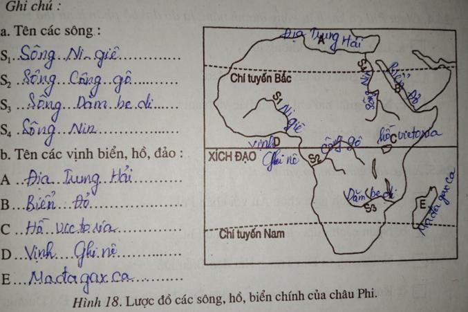 Giải vở bài tập Địa Lý 7 bài 26: Thiên nhiên châu Phi