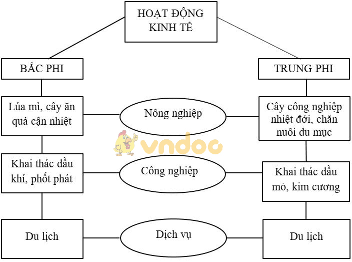 Giải vở bài tập Địa Lý 7 bài 32: Các khu vực châu Phi