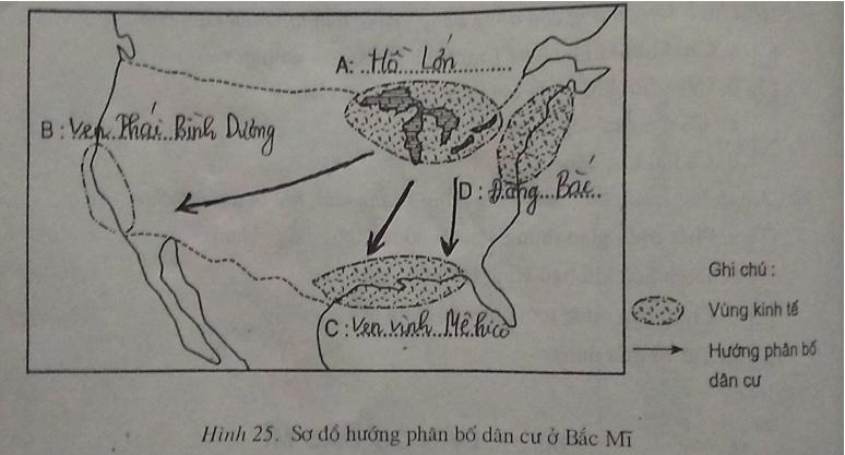 Giải vở bài tập Địa Lý 7 bài 37: Dân cư Bắc Mĩ
