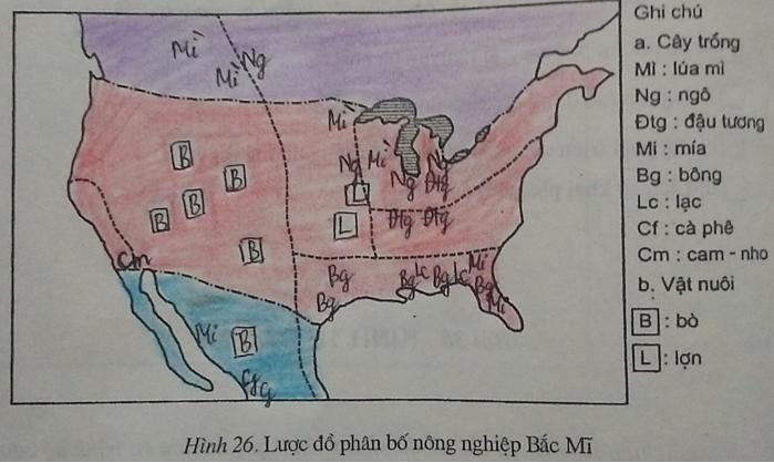 Giải vở bài tập Địa Lý 7 bài 38: Kinh tế Bắc Mĩ