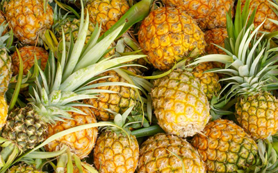 Từ vựng Tiếng Anh