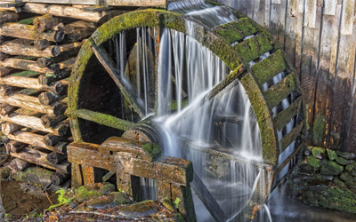 Từ vựng Tiếng Anh