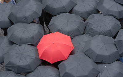 Từ vựng Tiếng Anh