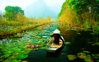 Từ vựng Tiếng Anh