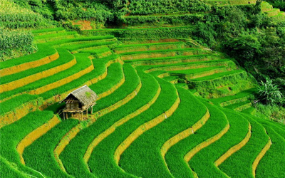 Từ vựng Tiếng Anh