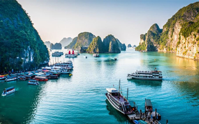 Từ vựng Tiếng Anh