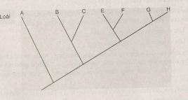 Giải bài tập SBT Sinh học 10 trang 115