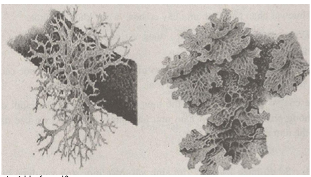 Giải bài tập SBT Sinh học 10 trang 5