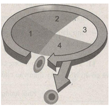 Giải bài tập SBT Sinh học 10 trang 66