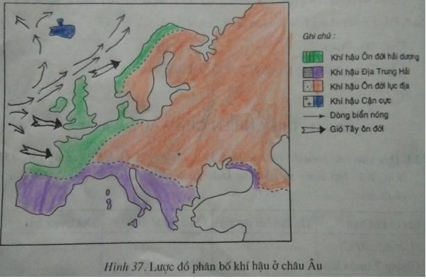 Giải vở bài tập Địa Lý 7 bài 52: Thiên nhiên châu Âu (tiếp theo)