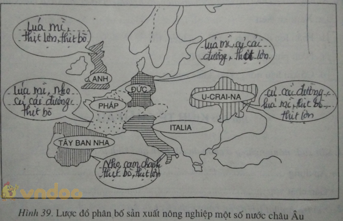 Giải vở bài tập Địa Lý 7 bài 55: Kinh tế châu Âu