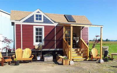 Từ vựng Tiếng Anh