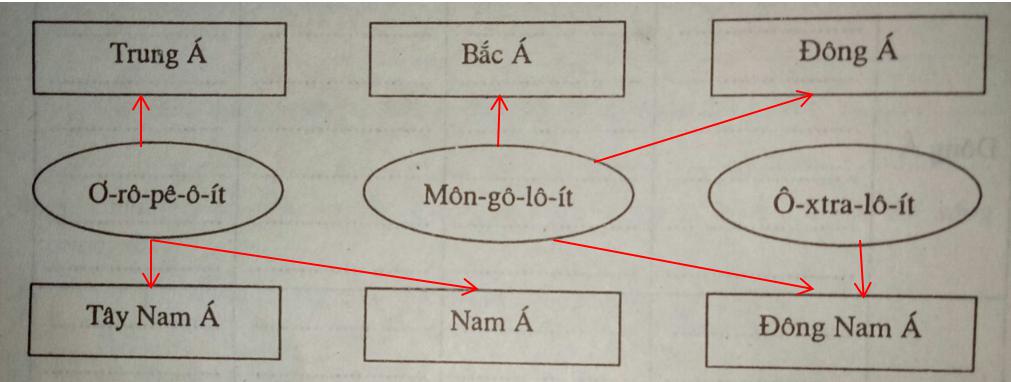 Giải vở bài tập Địa Lý 8 bài 5: Đặc điểm dân cư, xã hội châu Á