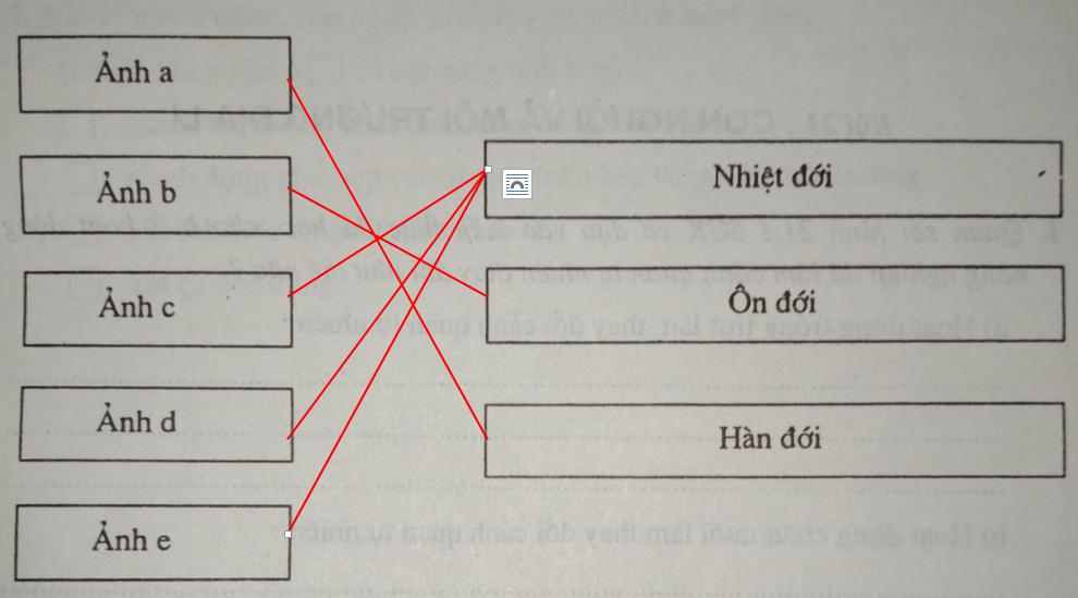 Giải vở bài tập Địa Lý 8 bài 20: Khí hậu và cảnh quan trên Trái Đất