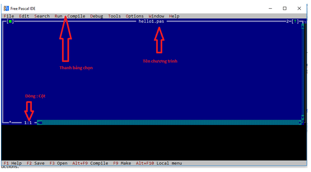 Giải bài tập Tin học 11 bài 8