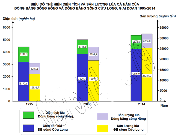 Hướng dẫn vẽ biểu đồ cột