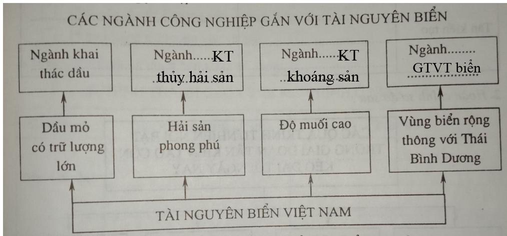 Giải vở bài tập Địa Lý 8 bài 24: Vùng biển Việt Nam