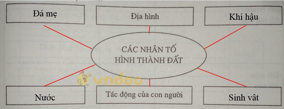 Giải vở bài tập Địa Lý 8 bài 36: Đặc điểm đất Việt Nam