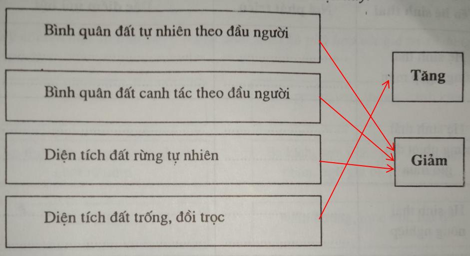 Giải vở bài tập Địa Lý 8 bài 36: Đặc điểm đất Việt Nam