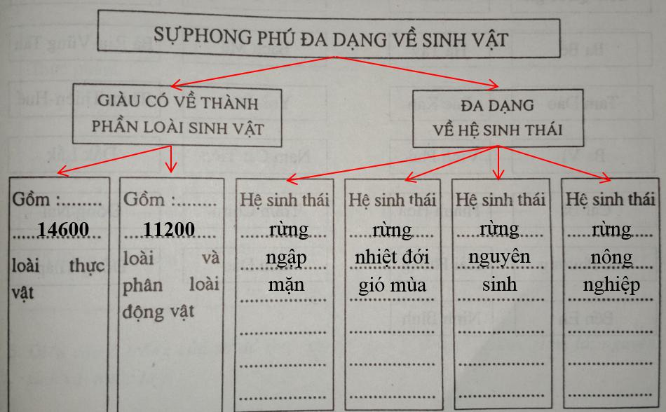 Giải vở bài tập Địa Lý 8 bài 37: Đặc điểm sinh vật Việt Nam