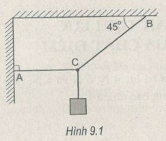 Giải bài tập SBT Vật lý 10 bài 9