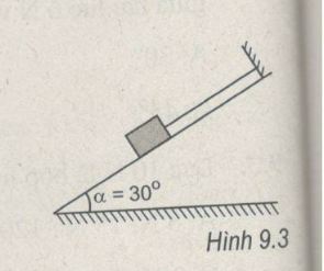 Giải bài tập SBT Vật lý 10 bài 9