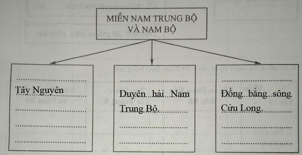 Giải vở bài tập Địa Lý 8 bài 43: Miền Nam Trung Bộ và Nam Bộ