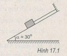 Giải bài tập SBT Vật lý 10 bài 17