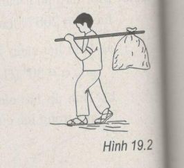 Giải bài tập Vật lý 10 SBT bài 19