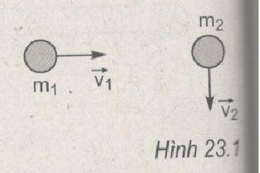 Giải bài tập Vật lý 10 SBT bài 23