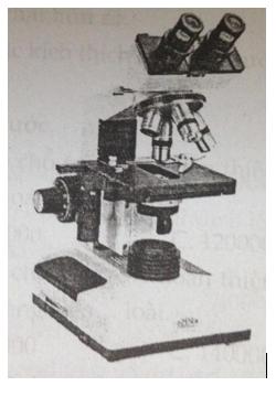 Đề kiểm tra 15 phút Sinh học lớp 6 học kì 1